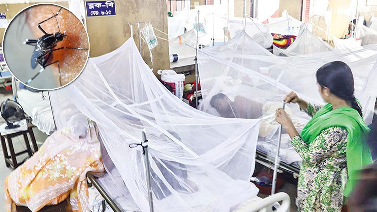 একদিনে হাসপাতালে বছরের সর্বোচ্চ ডেঙ্গু রোগী